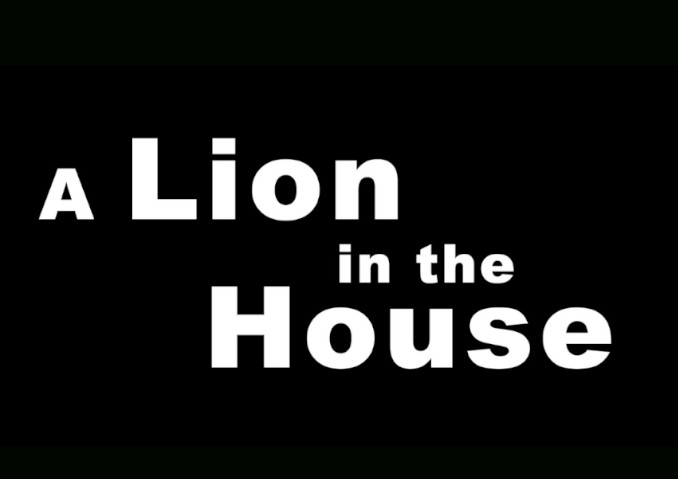Netflix: A Lion in the House